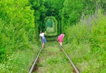 O cale ferata din Romania, pe lista atractiilor turistice mai putin cunoscute promovate de Parlamentul European